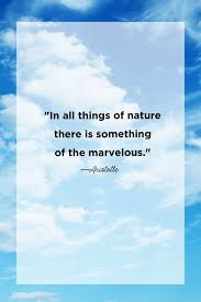 53 Best Nature Quotes Inspirational Sayings About Nature Nature quotes inspirational john muir quotes beauty tips quotes motivational messages quotes into the woods quotes healthy living quotes nature words outdoor quotes. nature quotes inspirational sayings