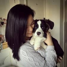 There are many brands of dog food that have a small breed puppy formula that would work well for your new puppy. Puppy Or Rescue Dog Socialization During Covid 19 Psychology Today