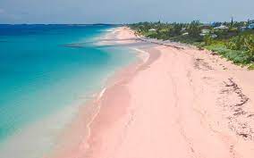 When many people think of the bahamas, the first thing that comes to mind is the stretch of fancy resorts and casinos that line the beaches of nassau. 11 Beautiful Pink Sand Beaches Around The World Travel Leisure