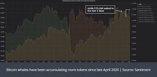 At this point, the coin was worth 16.67 times more expensive than at the beginning of the year, and its capitalization reached $1 million. Cryptocurrency Market Update Bitcoin Whales Busy Accumulating As Btc Usd Eyes 20 000 Forex Crunch