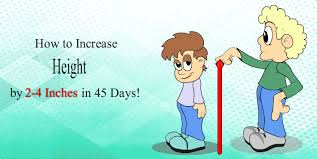 Grow taller with an excellent supplement. How To Increase Height Quicker After 18 Results In 45 Days