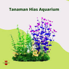 Check spelling or type a new query. Harga Aksesoris Aquarium Rumput Terbaru Juli 2021 Biggo Indonesia
