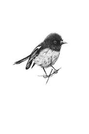 Sketch Birds Flying In The Sky Drawing I Am Beautiful Beautiful Birds Cute Blackandwhite Inspiration Fly Art Artist Penart Pendrawing Illustration Birds Birds Flying Pen Art Little Bird