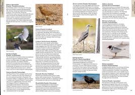 Luckily, most of the hard work of identification has already been done. Australia S Birdwatching Megaspots Book Release Australia S Wildlife