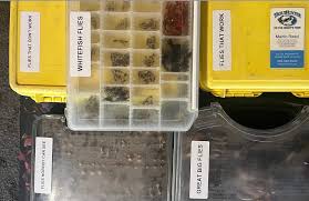 Todd Lanning, Author at TroutHunter