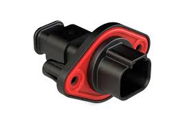 Image result for Pimpinella sp. A. of FZ 4: 594