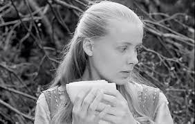 DIÁRIO DE UM CINÉFILO: 08/2021