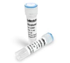 Tocilizumab affects your immune system. Tocilizumab Anti Il 6r Il Receptor Inhibitor Read Reviews Product Use Citations