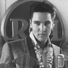 Good afternoon everyone, have a wonderful day with our one and only  gorgeous Elvis ❤️🥰