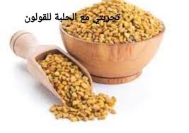 تجربتي مع الحلبة للقولون fenugreek seeds herbs spices fenugreek