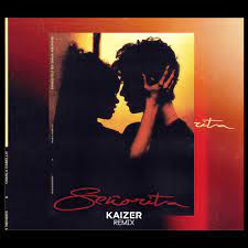 Камила кабелло и шон мендес]. Shawn Mendes Camila Cabello Senorita Kaizer Remix Kaizer