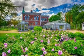 Die bewertungen des grünen reiseführers von der herrliche garten wurde 1870 auf einem gelände angepflanzt, das durch den abriss der. Botanischer Garten In Kopenhagen Infos Tipps 2021