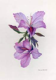 Scandinavian style cartoon floral texture. Wild Orchids By Bonnie Haversat Orchid Drawing Flower Drawing Flower Sketches