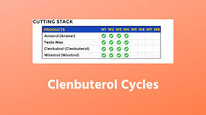 clenbuterol cycles an ultimate guide for all level users