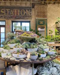 Jayson Home On Instagram Succulents Topiaries And Air Plants Oh My Get Them While They Last In 2020 Air Plants Plants Topiary