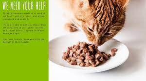 Based in cardiff, slowly spreading out to cover south wales. Toronto Humane Society On Twitter We Need Your Help Kitten Season Is Fast Approaching And We Are In Need Of Cat Food Wet Dry Cat And Kitten Food For