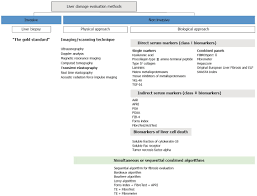 Chronic Hepatitis C Virus Infection Serum Biomarkers In