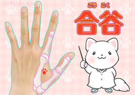 頭痛や目の奥の痛みにも！ 押すだけで「カラダの様々な痛みが取れる」簡単ツボ – 文 もふねこ教授 原案・イラスト 犬養ヒロ | ananweb –  マガジンハウス