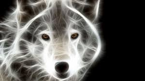 Check spelling or type a new query. Neon Animals And Android On Pinterest Animal Hd Wallpapers