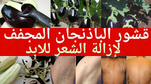 قشور الباذنجان المجفف لازالة الشعر للأبد Body Skin Care Body Skin Skin Care