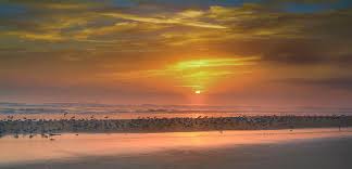 Maybe you would like to learn more about one of these? Early Morning Sunrise Daytona Beach Photograph By Mary Lynn Giacomini