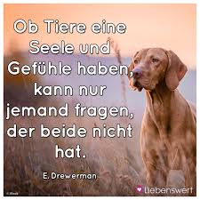 Spruche Fur Tierliebhaber Zitate Tiere Spruche Tiere Tiere