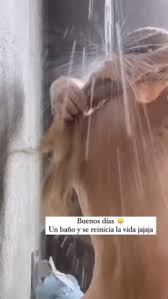 El viaje de Maya Nazor sin tabúes