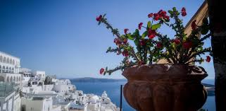 Τα προσωρινά αποτελέσματα για το. Toyrismos Gia Oloys Me Afm Oi Aithseis Sto Tourism4all Gov Gr E8nos