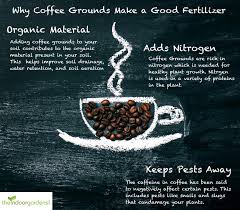 Using Coffee Grounds As A Homemade Fertilizer The Indoor Gardens Natural Coffee Coffee Shop Branding Coffee Beans