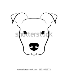 How to draw a pitbull step by step drawing tutorials. Pitbull Head Drawing At Getdrawings Free Download