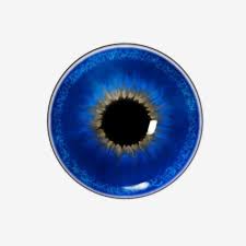 Ps Production Blue Eye Pupil Ps Production Blue Eye Pupil Png Transparent Clipart Image And Psd File For Free Download Beautiful Flowers Wallpapers Blue Sky Background Clip Art