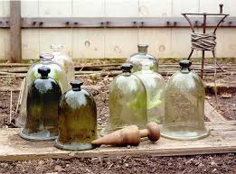 Cloches Autres Couleurs Jardins Topiaire Potager