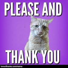 51 Nice Thank You Memes With Cats Thank You Cat Meme Funny Cat Memes Thank You Memes