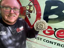 Bugs have appeared at home, does anyone have a contact for extermination?