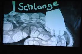 Juni 2021 starten auf prosieben die sechs neuen folgen der. Die Alm Promischweiss Und Edelweiss Home Facebook