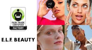 Andrea Fernandez-Stearns