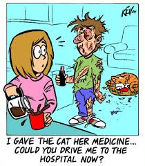 You want to be gentle, but you also know your cat needs the medicine you're trying to give them. How To Give Your Cat A Pill Dejohn Pet Cremation Pet Loss Support And Crematory Ohio