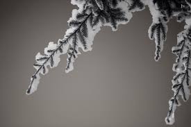 Check spelling or type a new query. Wallpaper Winter Snow Cool Sad Gray Fade 1024x681 932364 Hd Wallpapers Wallhere