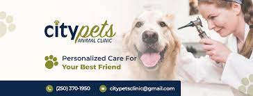 At city pets, we are committed to providing the best quality patient care available. City Pets Animal Clinic Home Facebook