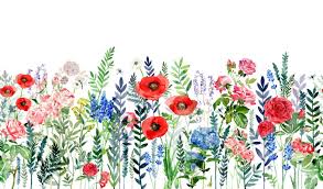We did not find results for: Flower Fields Wallpaper Designed By Amanda Nordblad Mr Perswall