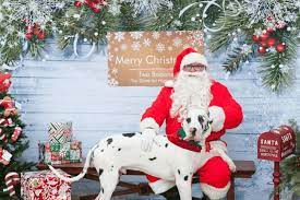 Christmas trees are a great way to keep christmas greenery alive during the holidays. Christmas Stories And Pics 2019 Pt Ii Nzymes Com