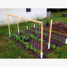 The trellis below does double duty in the garden. Pin By Aouad Abdessamad On All Things Gardening Bean Trellis Green Bean Trellis Growing Green Beans