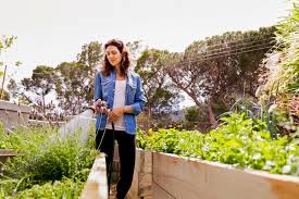 Maybe you would like to learn more about one of these? 6 Best Garden Hoses To Buy In 2021 According To Experts