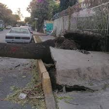 ¡no te quedes sin tus boletos! Clima En Cdmx Alertan Por Frio Y Fuertes Vientos El Informador