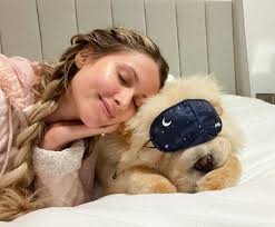 Charlie Bear (@charliebearsinsta) • Instagram photos and videos