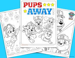 Ships from and sold by the toys store. Paw Patrol Birthday