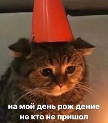pin ot polzovatelya 2pic69 na doske memy v 2020 g memy veselye memy sarkastichnye citaty