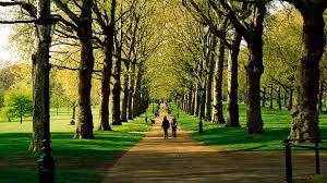 Covering 142 hectares (350 acres) and with over 4,000 trees, a large lake, a meadow and ornamental flower gardens, there's a good chance you'll forget you are right in the centre of london. Der Hyde Park Freizeit In London