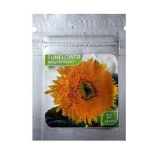 Hampir seluruh pecinta bunga matahari akan menyukai jenis bunga yang satu ini, terkenal sebagai sunflower yang memiliki warna cerah sangat cocok untuk dijadikan sebagai tanaman hias. Jual Oem Bunga Matahari Sungold Dwarf Sunlower Teddy Bear Benih Bibit Terbaru Juni 2021 Blibli