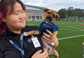 Seattle pup is first to represent Washington in Puppy Bowl